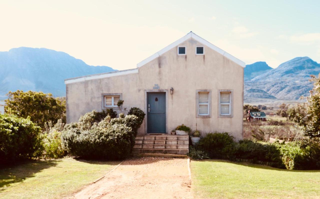 The Crowded House Villa Pringle Bay Bagian luar foto